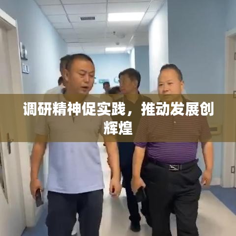 调研精神促实践，推动发展创辉煌