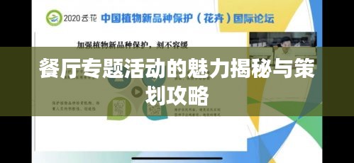餐厅专题活动的魅力揭秘与策划攻略