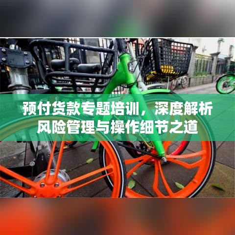 预付货款专题培训，深度解析风险管理与操作细节之道