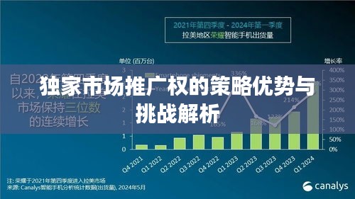 独家市场推广权的策略优势与挑战解析