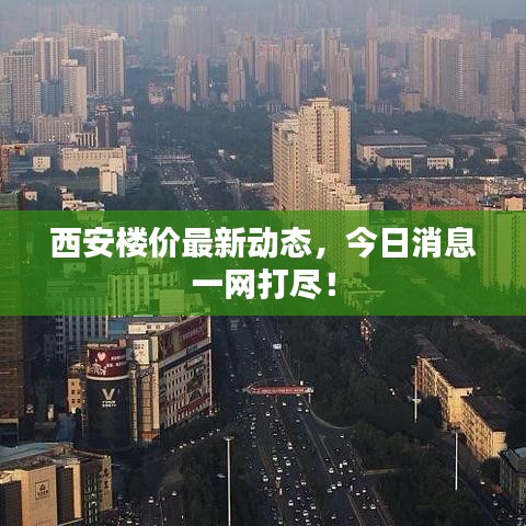 映月读书