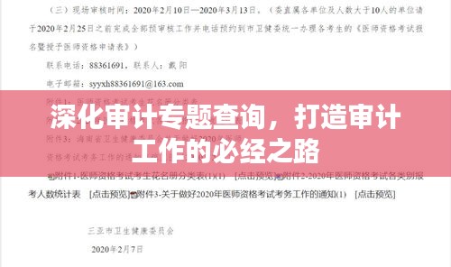 深化审计专题查询，打造审计工作的必经之路