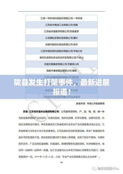 陇县发生打架事件，最新进展报道！