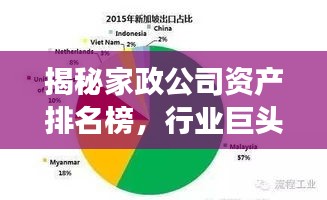 揭秘家政公司资产排名榜，行业巨头及成功秘诀大解密！