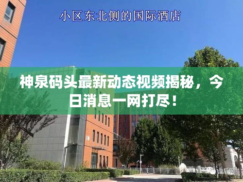 神泉码头最新动态视频揭秘，今日消息一网打尽！