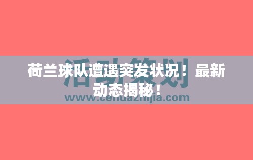 荷兰球队遭遇突发状况！最新动态揭秘！
