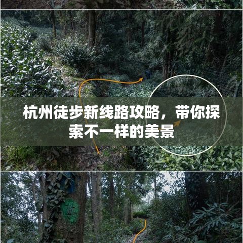 杭州徒步新线路攻略，带你探索不一样的美景