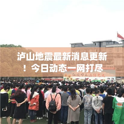 泸山地震最新消息更新！今日动态一网打尽
