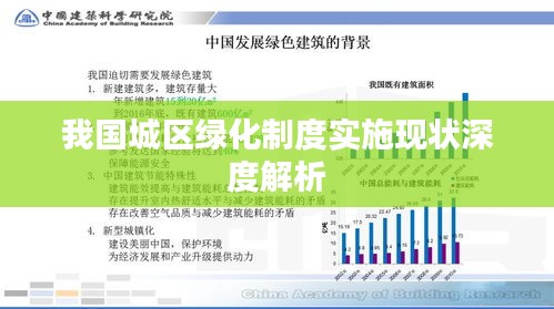 我国城区绿化制度实施现状深度解析