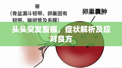 头头突发腹痛，症状解析及应对良方