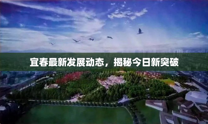 宜春最新发展动态，揭秘今日新突破
