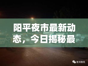 阳平夜市最新动态，今日揭秘最新消息！