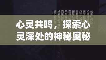 心灵共鸣，探索心灵深处的神秘奥秘