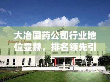 大冶国药公司行业地位显赫，排名领先引关注