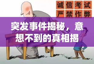 突发事件揭秘，意想不到的真相揭秘！
