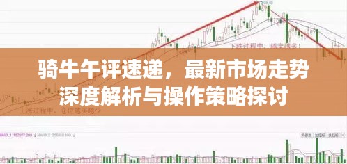 2025年5月24日 第3页