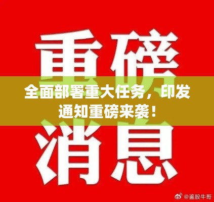 全面部署重大任务，印发通知重磅来袭！