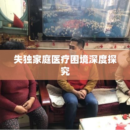失独家庭医疗困境深度探究