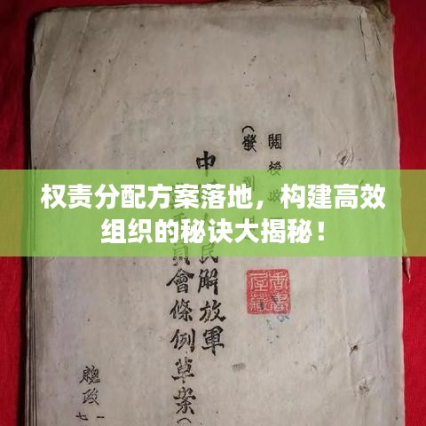 权责分配方案落地，构建高效组织的秘诀大揭秘！