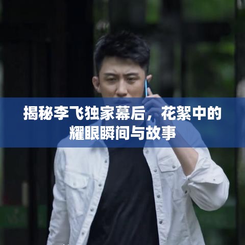 揭秘李飞独家幕后，花絮中的耀眼瞬间与故事