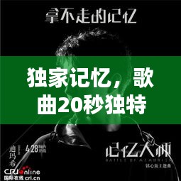 独家记忆，歌曲20秒独特魅力引爆情感共鸣