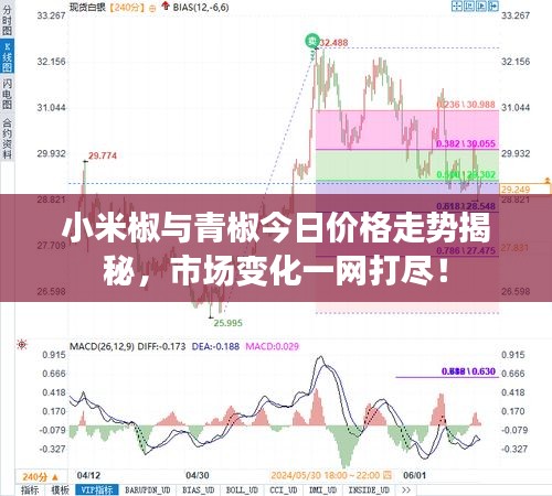 小米椒与青椒今日价格走势揭秘，市场变化一网打尽！