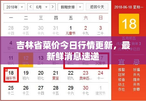 吉林省菜价今日行情更新，最新鲜消息速递