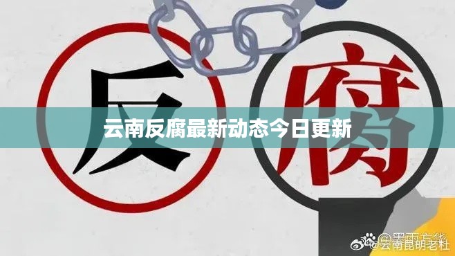 云南反腐最新动态今日更新