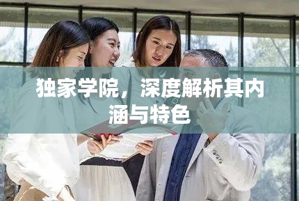 独家学院，深度解析其内涵与特色