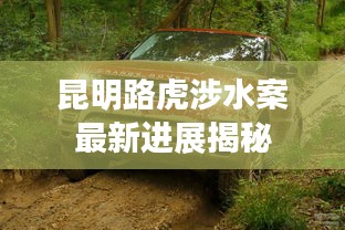 昆明路虎涉水案最新进展揭秘