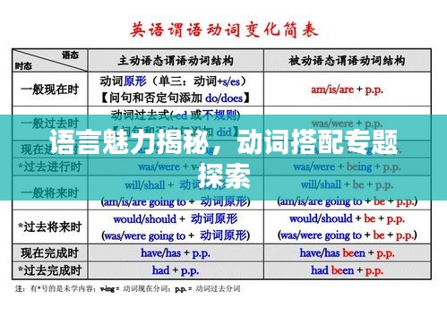 语言魅力揭秘，动词搭配专题探索