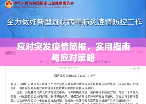 应对突发疫情简报，实用指南与应对策略