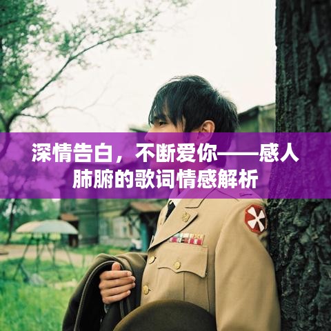 深情告白，不断爱你——感人肺腑的歌词情感解析